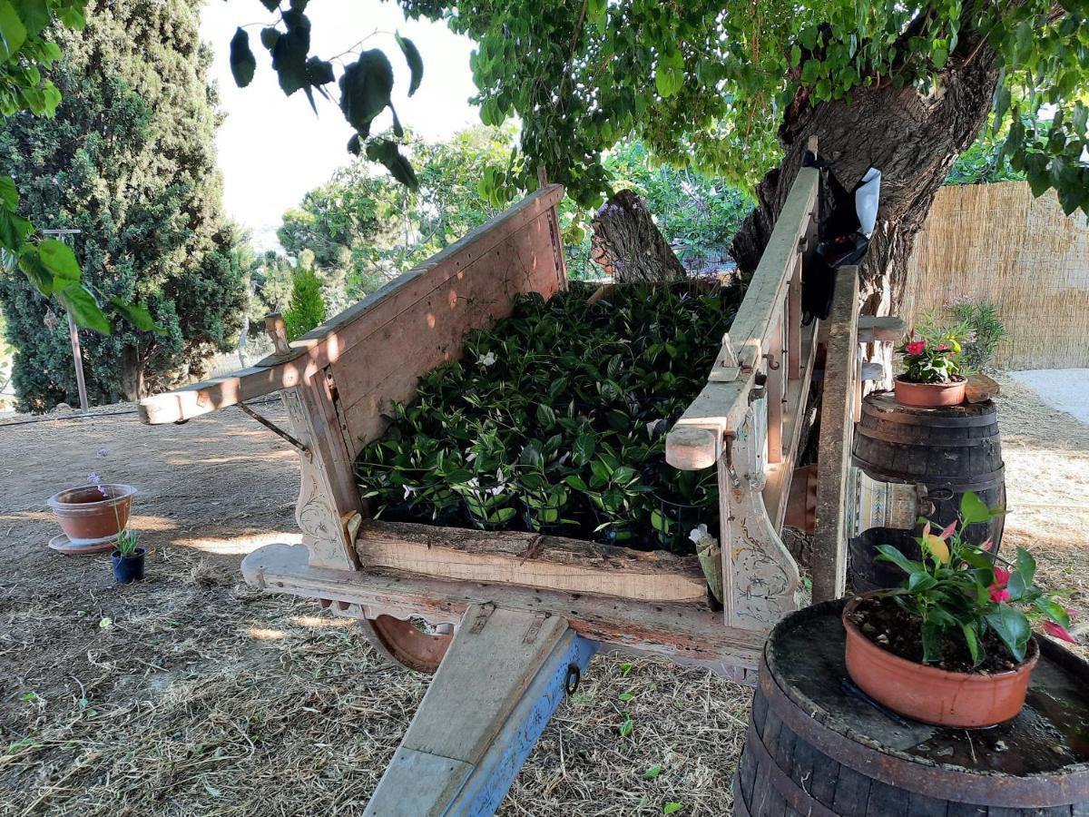 Bed & Breakfast Tenuta Coppa Zuccari Citta Sant'Angelo