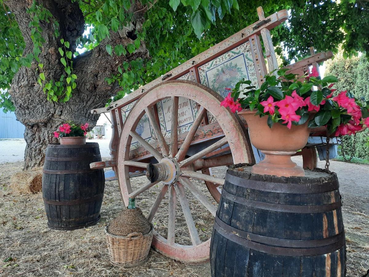 Tenuta Coppa Zuccari * Citta Sant'Angelo