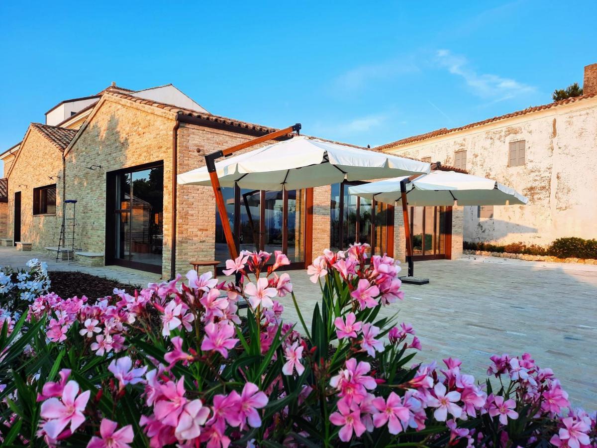Tenuta Coppa Zuccari Bed & Breakfast
